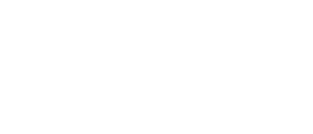 Logo Domus de Luna
